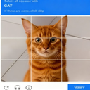 CATCHA