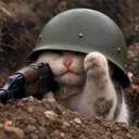 trenchcat