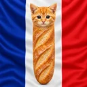 Baguecat
