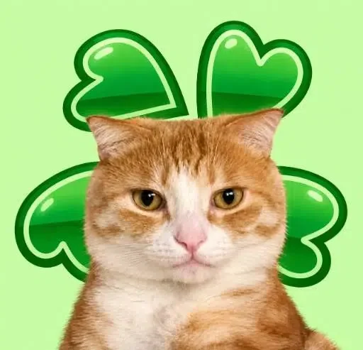 Jef