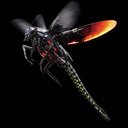 BUG