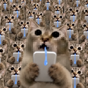 COPYCAT