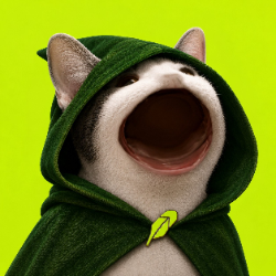 ROBINPOPCAT logo