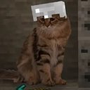 minecat
