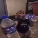 H20