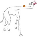 LONGDOG