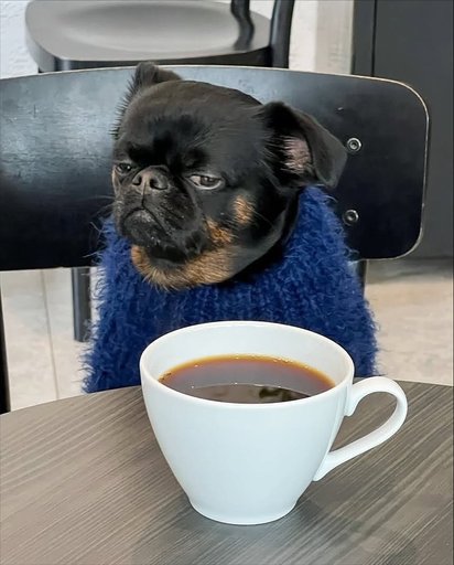 CHARLIE