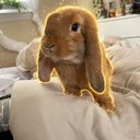 Oscar