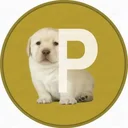 PERRO