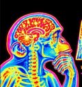 ApeBrain