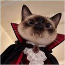 VAMPCAT