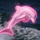 Pinky