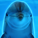 DI
