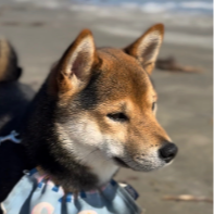 RIPPLE