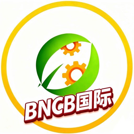 BNCB国际