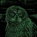 HOOT