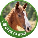 HorsedIn