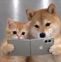 DUO