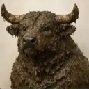 BULLSHIT