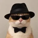 Spycat