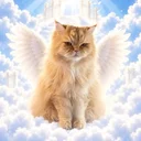 Felix