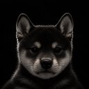 Inu