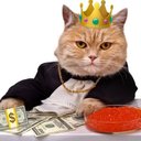 @fearonchain