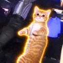 vibecat
