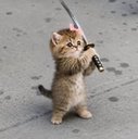 CATANA