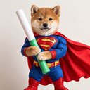Super Baton logo