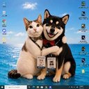 Your Desktop Pet logo