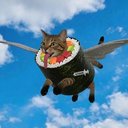 Flying Ketamine Sushi Cat logo