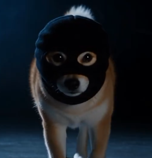 ZINU