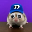 Fomo Hamster logo