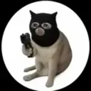 Fraudcat logo