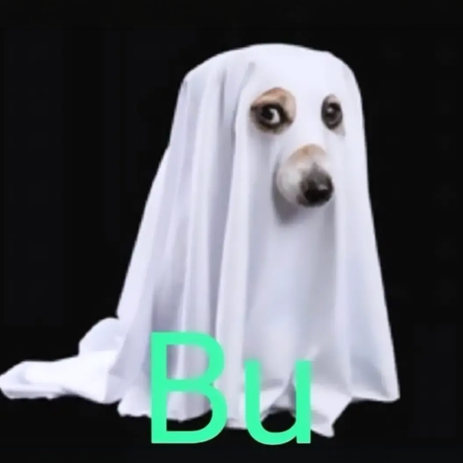 Bu