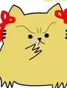短尾猫