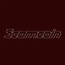 scamcoin