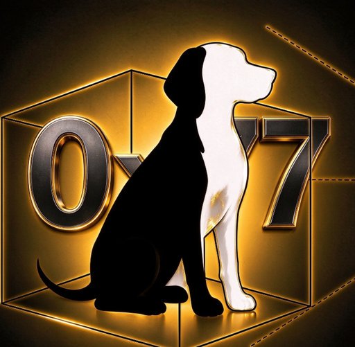 7DOG