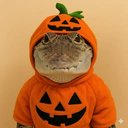 CROCTOBER
