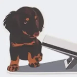 SDOG