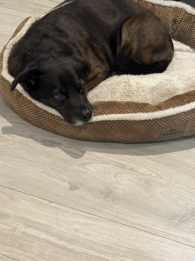 Copper