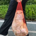 wCAT