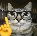 Thesis Cat