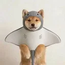 ray