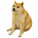 CASHDOG logo