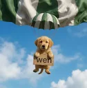 WEN