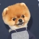 Jiffpom logo