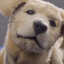 ROOFUS