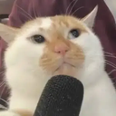 PODCAT